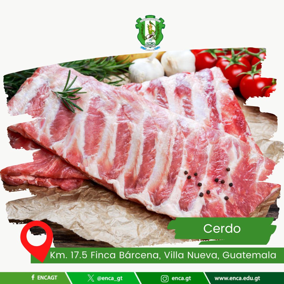 Cerdo