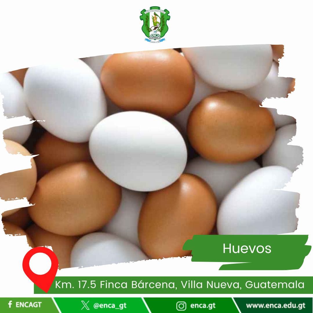 Huevos