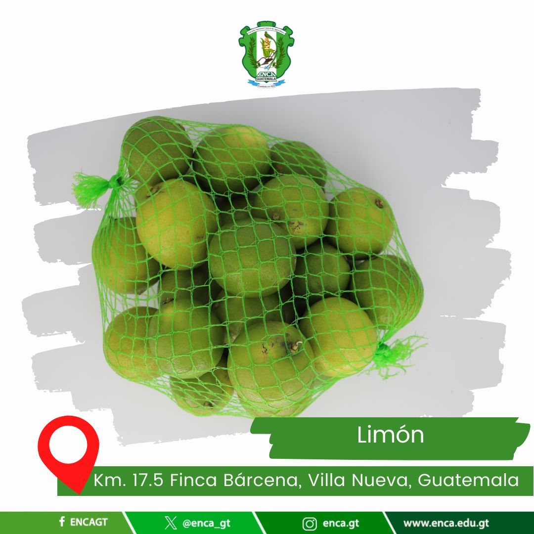 Limón